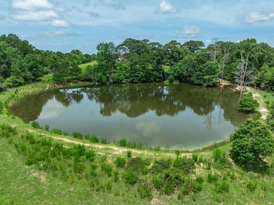 588 Wpa Rd, Sumrall, MS 39482 - photo 4