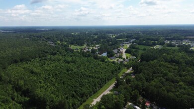 View of property location with a forest