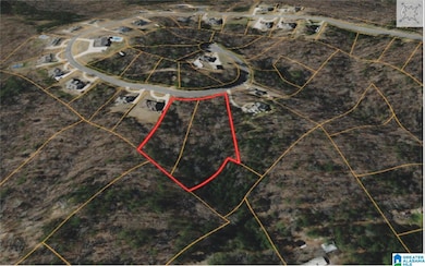 800 Cody Cir, Springville, AL 35146 - photo 2