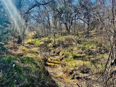 721 NE Front St, Millsap, TX 76066 - photo 3