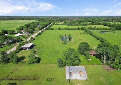 aerial view 2