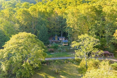 360 Banjo Branch Rd, Burnsville, NC 28714 - photo 3