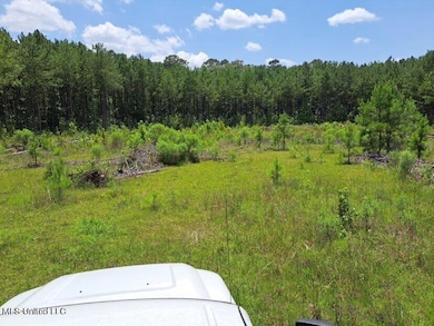 0 0 U S 49, Mendenhall, MS 39114 - photo 2