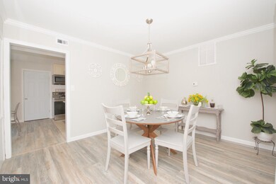 50 Plumtree Ln, Willingboro, NJ 08046 - photo 7