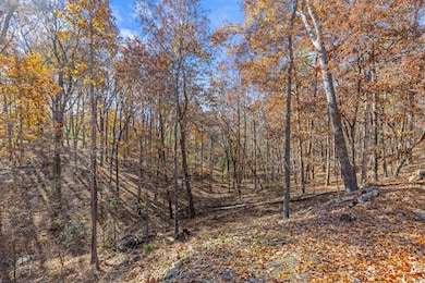 8200 Troubadour Way, Ooltewah, TN 37363 - photo 5