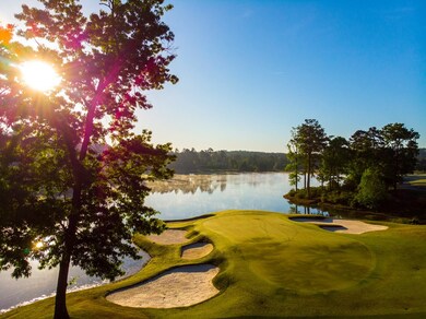 Championship Golf