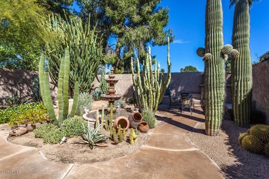 Fountain on back patio
