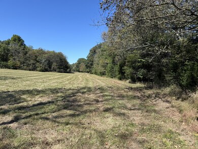 0 Cross Keys Rd, College Grove, TN 37046 - photo 5