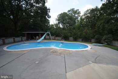 135 West St, Stephens City, VA 22655 - photo 4