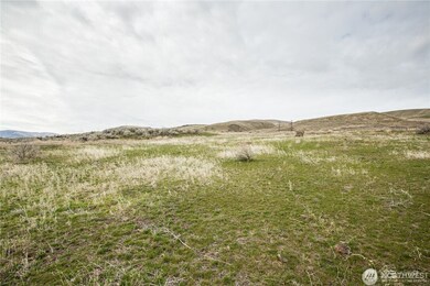 738 Ravens Home Ln unit Lot 3, Malaga, WA 98828 - photo 7