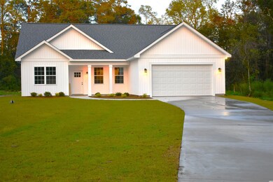 4718 Hamp-Ned Rd, Conway, SC 29526 - photo 2