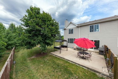 25400 Cove Ct, Plainfield, IL 60544 - photo 3