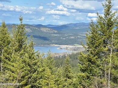 NKA 10 Acres, Plummer, ID 83851 - photo 5