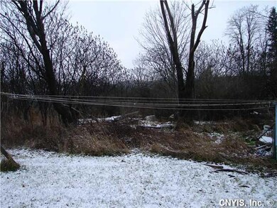 Land Extra 1 acre lot behind this property availab