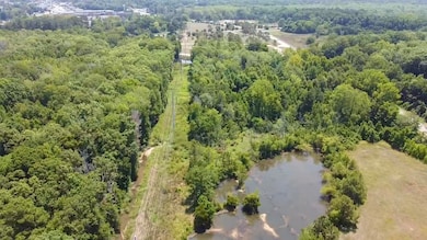 219 Cannon Bridge Rd, Orangeburg, SC 29115 - photo 6