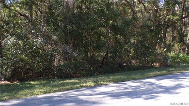 unlisted-address, Hernando, FL 34442 - photo 4