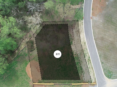 8413 Six String Dr, College Grove, TN 37046 - photo 2