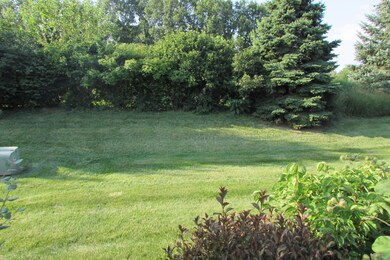 View from Patio