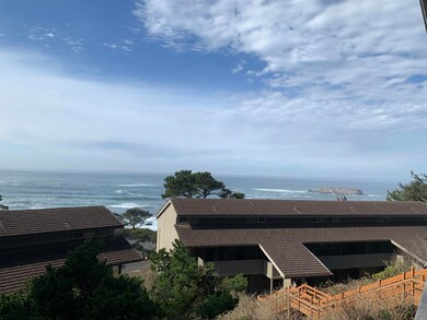 view