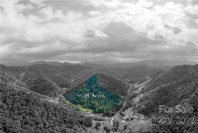 000 Silvers Gap Rd, Burnsville, NC 28714 - photo 3