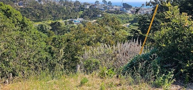 0 Croyden Ln unit SC25121112, Cambria, CA 93428 - photo 6