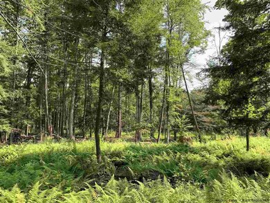 Lot 2 TBD Cherry Hill Rd, Stone Ridge, NY 12484 - photo 5