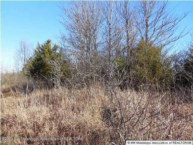10 acres Sycamore Road photo 2