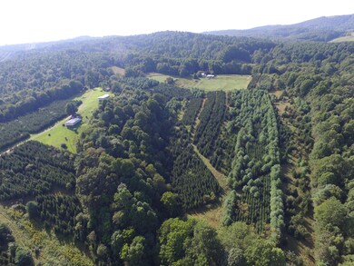 DJI_0014