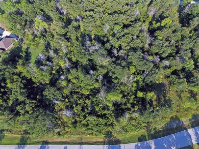 Lot 17 Palmilla Cir, Gordonville, TX 76245 - photo 4