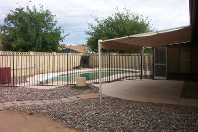 Large backyard
