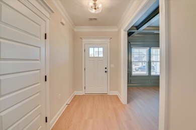 911 Speckled Teal Path, Aiken, SC 29803 - photo 3