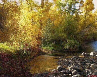 0 Red Mountain Lot#4 Rd unit 718416, Crested Butte, CO 81224 - photo 6