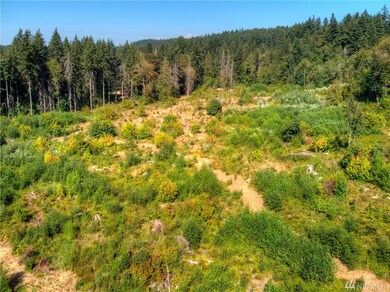 0 256th St E, Graham, WA 98338 - photo 4