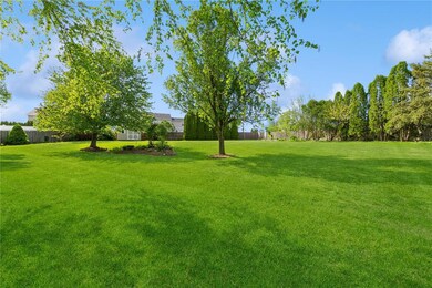 HUGE Backyard
