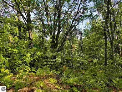 Lot 78 Fence Row Cir, Leroy, MI 49655 - photo 4