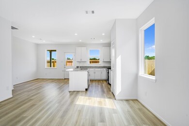 18114 Lone Hill Dr, Hockley, TX 77447 - photo 4