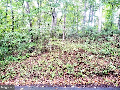 Lots 126-127 Codjus Dr, Rising Sun, MD 21911 - photo 4