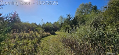 0 Hinchey Rd, Pinckney, MI 48169 - photo 4