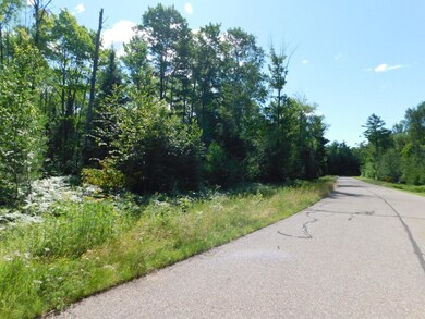 Lot 2 Sanctuary Rd, Tomahawk, WI 54487 - photo 3