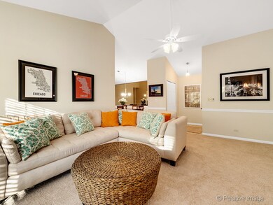 1098 Spring Garden Cir unit 8, Naperville, IL 60563 - photo 4