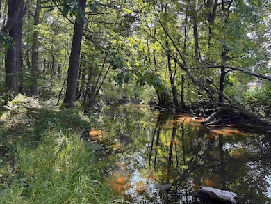 Lot 1 State Highway 13 34, Rudolph, WI 54475 - photo 3