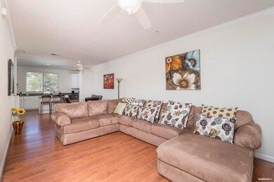 Living Room/Kitchen