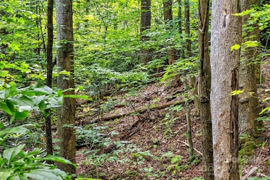 100 Comet Falls Trail unit 235, Black Mountain, NC 28711 - photo 2