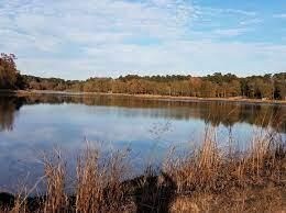 0 Chestnut Dr, Harleton, TX 75651 - photo 4