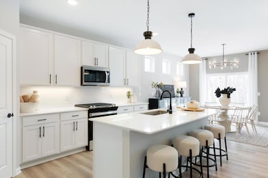 12752 Farnham Ln, Rogers, MN 55374 - photo 4