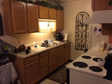 1070 4th Ave W, Monroe, WI 53566 - photo 5