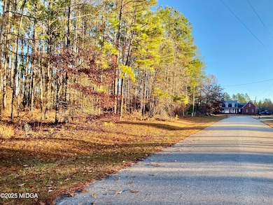 0 Oak Ridge Dr, Butler, GA 31006 - photo 2