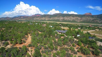 DJI_0029