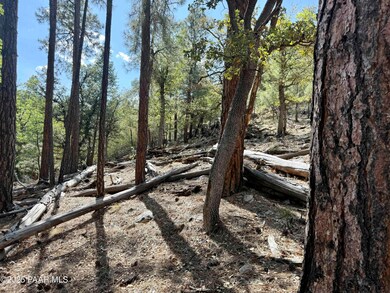 5980a Old Walker Rd, Prescott, AZ 86303 - photo 5