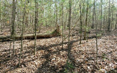 Additional View